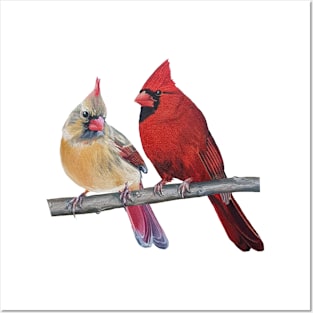 Northern Cardinal Pair painting (no background) Posters and Art